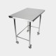 HYGIENOX Mobile Table with Rear Rail HYGIENOX Mobile Table with Rear Rail