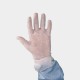 Kanebo Gloves (Pack/100 Pairs)